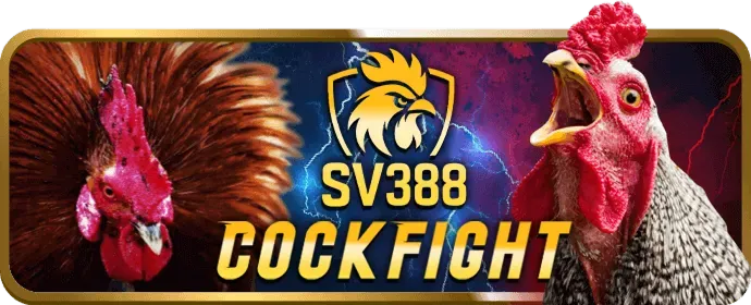 Hoàn trả hàng ngày BL55